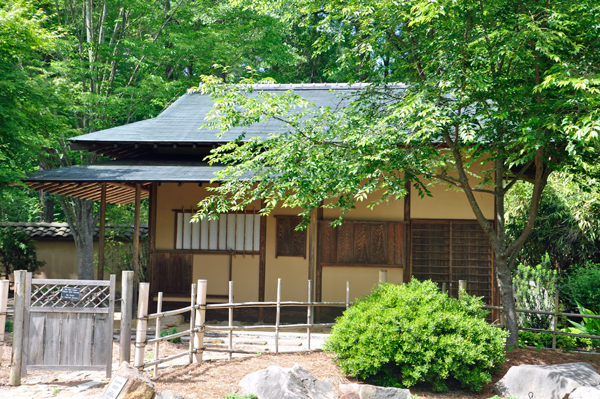 The Japanese Tea House
